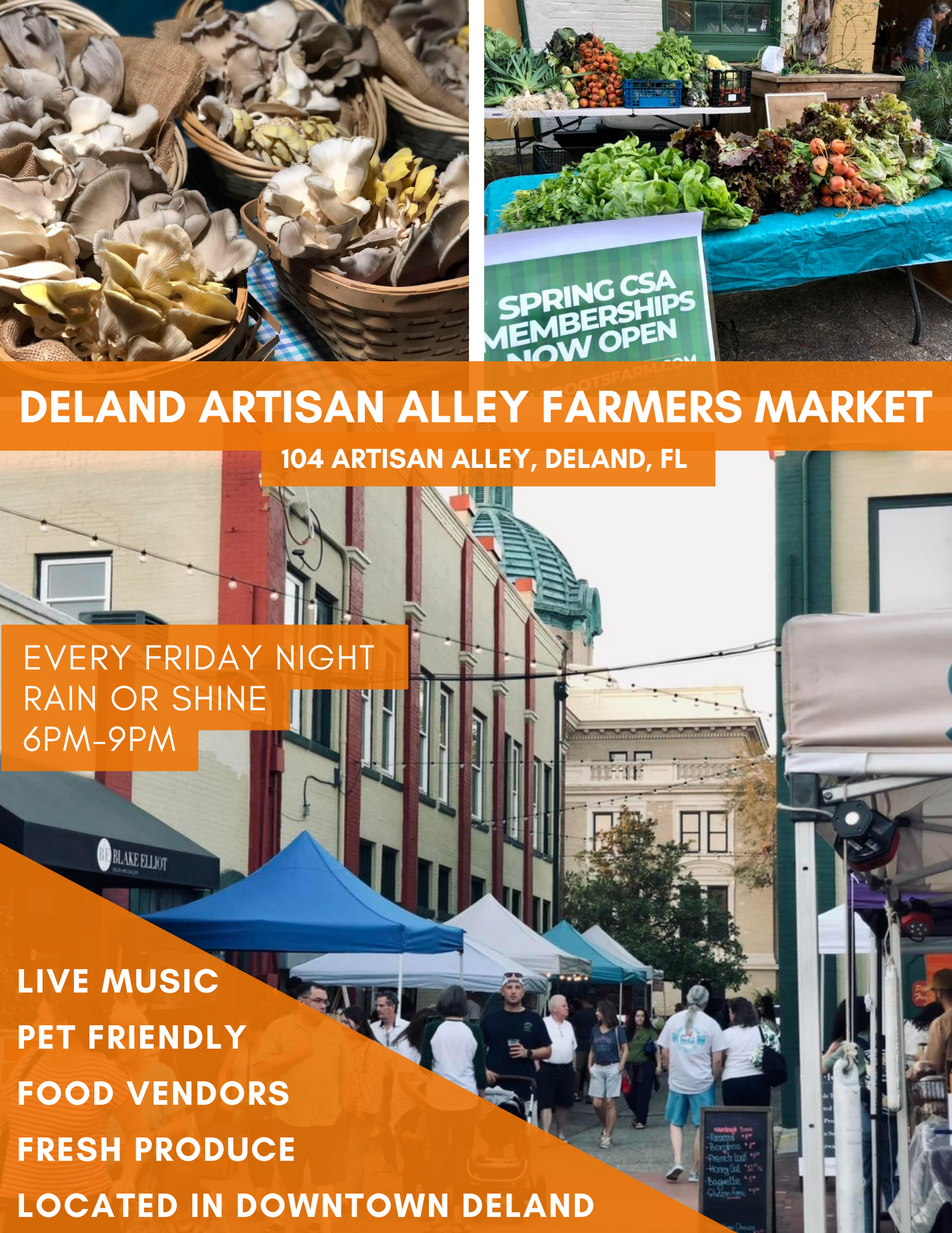 Advertising for Deland Artisan Alley Farmers market for those looking for Lions Mane and Oyster mushrooms