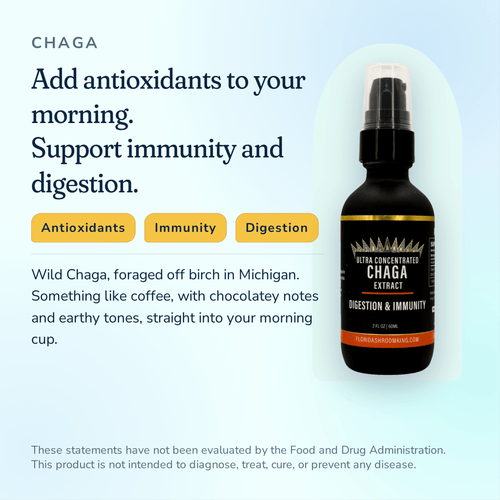 Market Friends Chaga Extract - Florida Shroom King