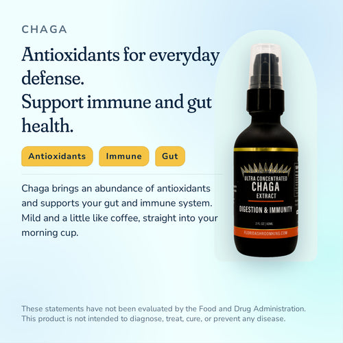 Chaga Triple Extract by Florida Shroom King, antioxidants for everyday defense with immune and gut support