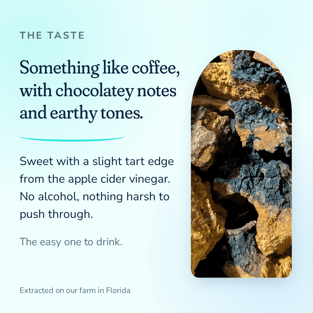 Market Friends Chaga Extract - Florida Shroom King