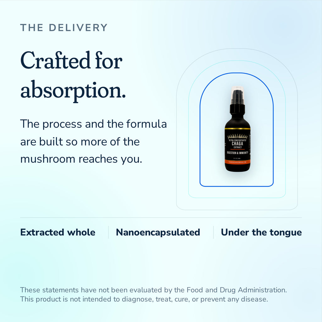 Chaga extract crafted for absorption, extracted whole, nanoencapsulated, taken under the tongue