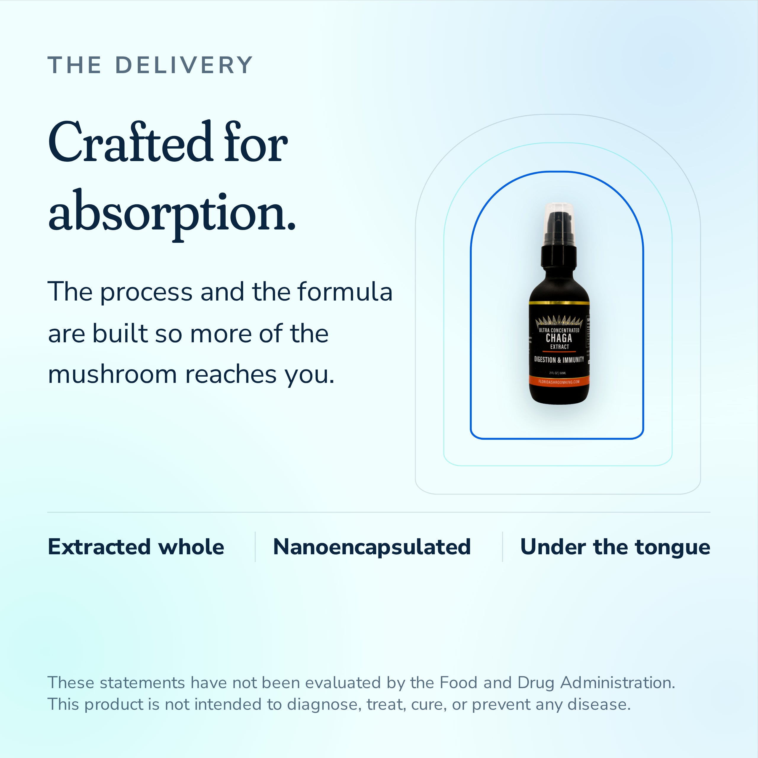 Chaga extract crafted for absorption, extracted whole, nanoencapsulated, taken under the tongue