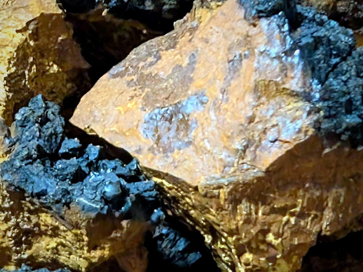 A closer look at the gold inside a piece of Chaga.