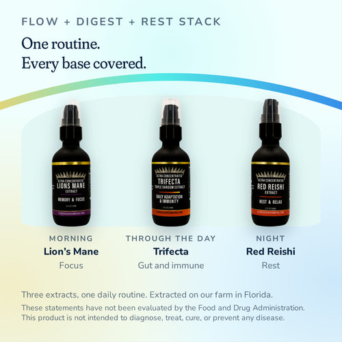 Flow + Digest + Rest Stack, which extract to take and when