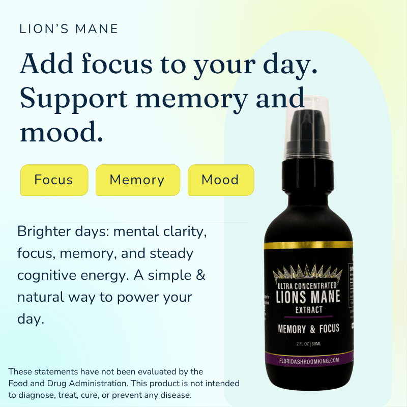 Lion's Mane Triple Extract, add focus to your day and support memory and mood