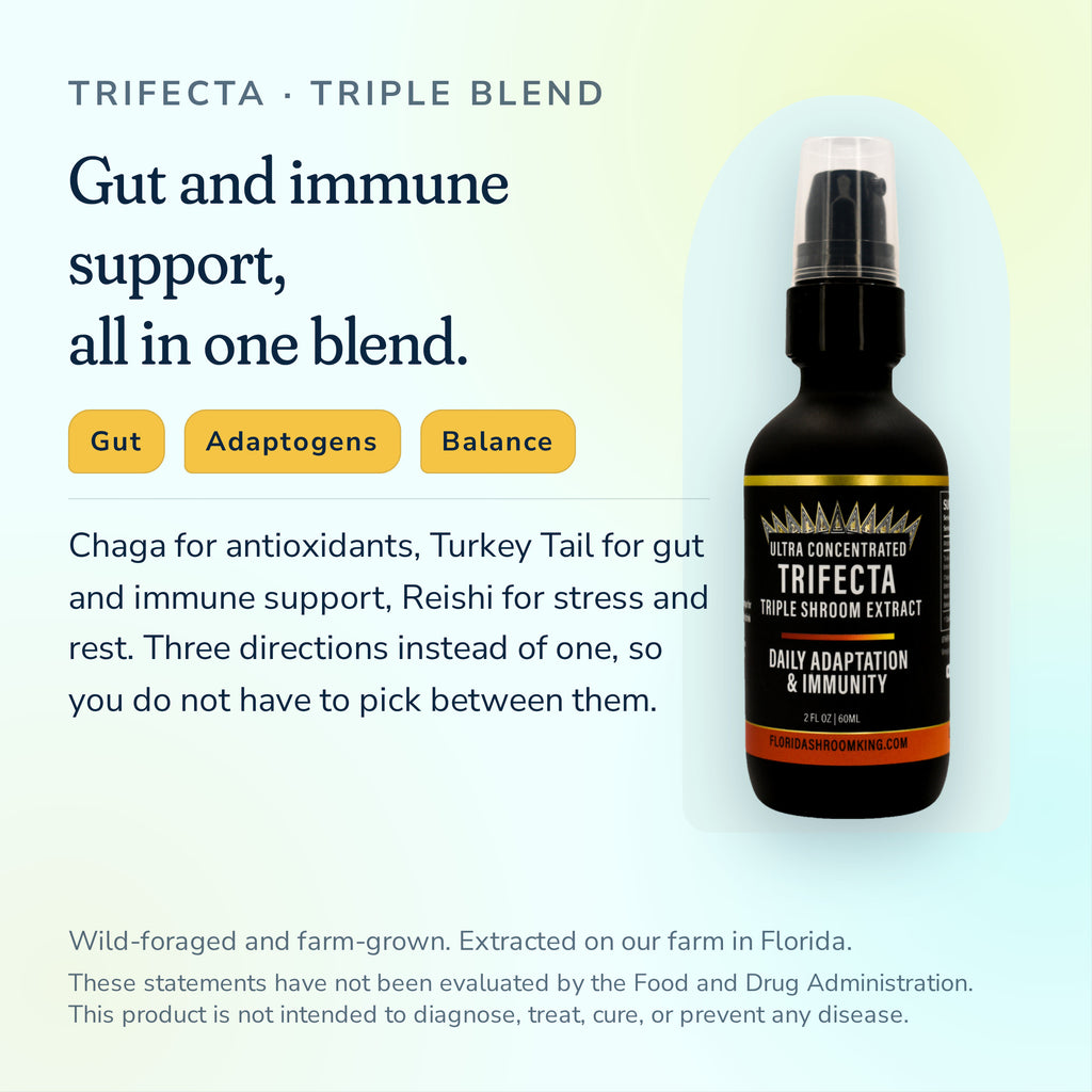 Trifecta Triple Shroom Extract, Reishi, Turkey Tail and Chaga in one blend
