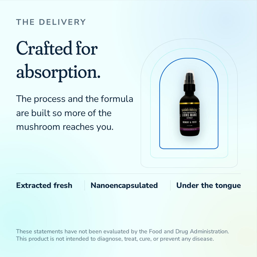 Lion's Mane Triple Extract - Florida Shroom King