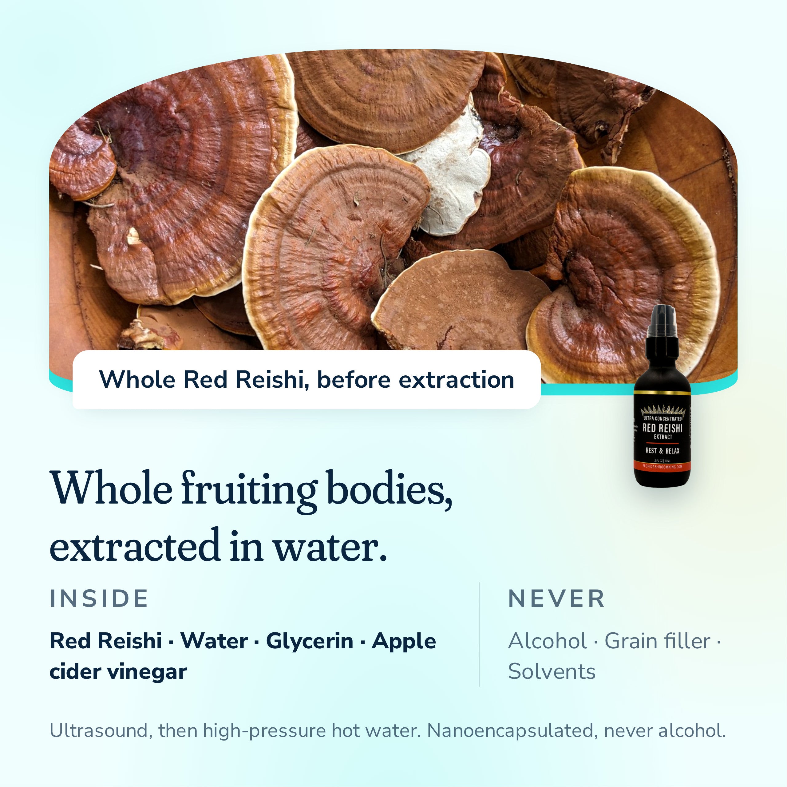 Whole Red Reishi fruiting bodies extracted in water, no alcohol, grain filler or solvents