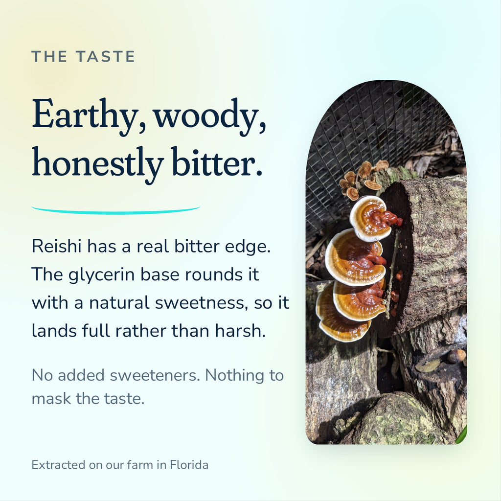 Red Reishi extract tastes earthy, woody and honestly bitter, never sweetened