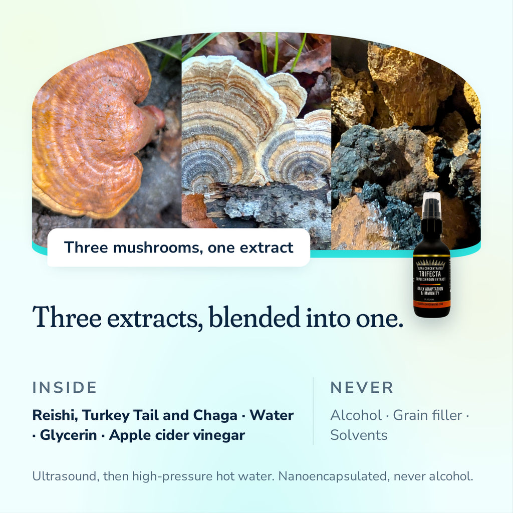 Three mushrooms, one extract, Reishi, Turkey Tail and Chaga blended, no alcohol, grain filler or solvents