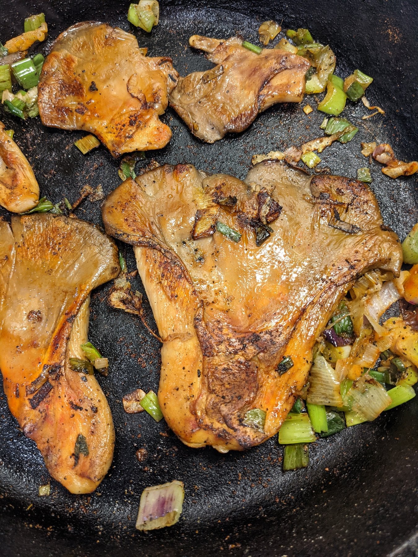 Sauteed fresh oyster mushrooms with green onions in a cast-iron skillet, Florida Shroom King